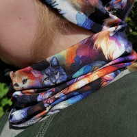 Kauluri kissat Kauluri kissat