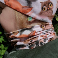 Kauluri eläin söpöliinit Kauluri eläin söpöliinit