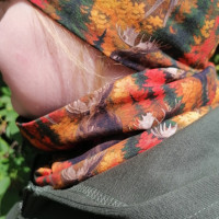 Kauluri syyshirvet Kauluri syyshirvet